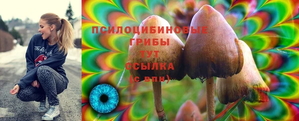 шишки Алексин